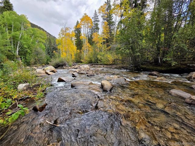 16101 Rob Roy MS MC, Nathrop, CO 81236