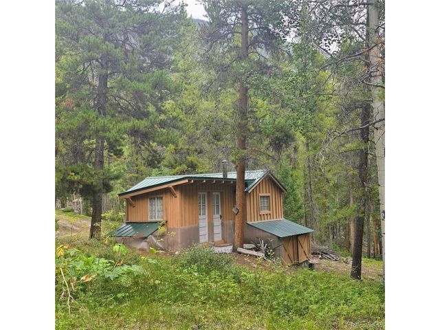 16101 Rob Roy MS MC, Nathrop, CO 81236