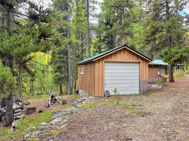 16101 Rob Roy MS MC, Nathrop, CO 81236