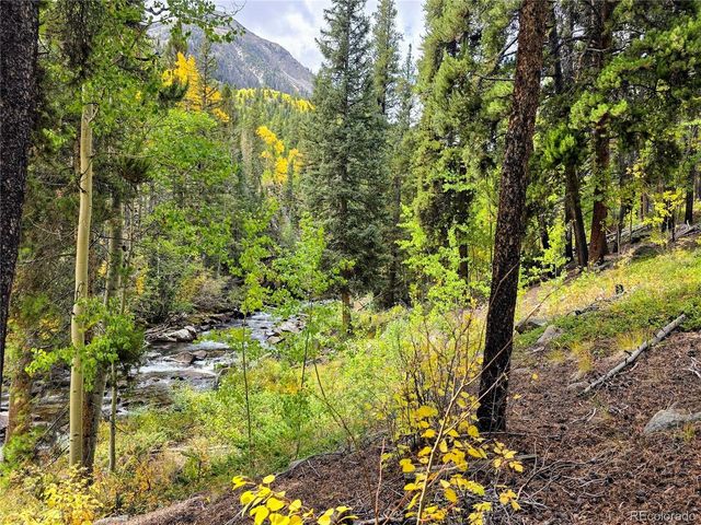 16101 Rob Roy MS MC, Nathrop, CO 81236
