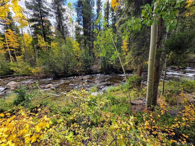 16101 Rob Roy MS MC, Nathrop, CO 81236