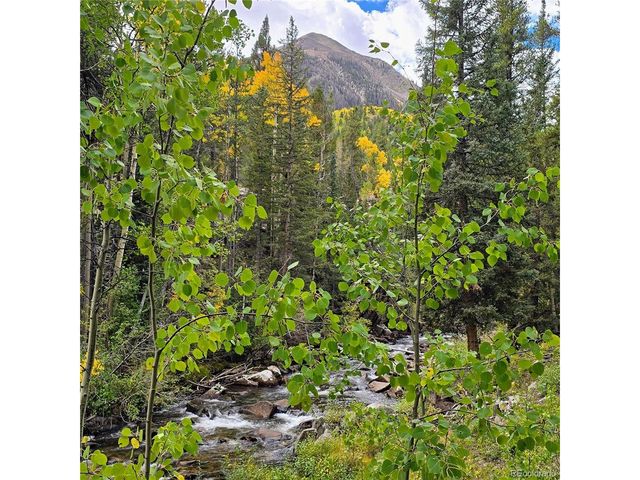 16101 Rob Roy MS MC, Nathrop, CO 81236