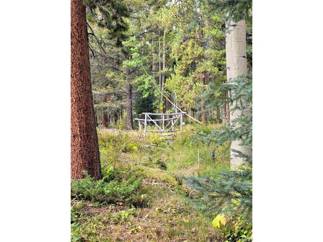 16101 Rob Roy MS MC, Nathrop, CO 81236