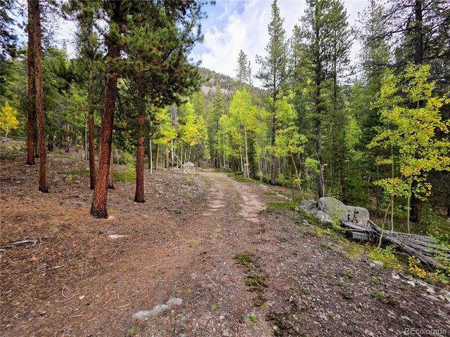 16101 Rob Roy MS MC, Nathrop, CO 81236