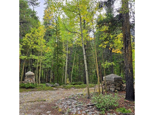 16101 Rob Roy MS MC, Nathrop, CO 81236