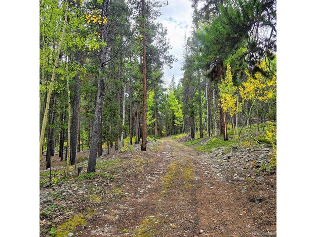 16101 Rob Roy MS MC, Nathrop, CO 81236