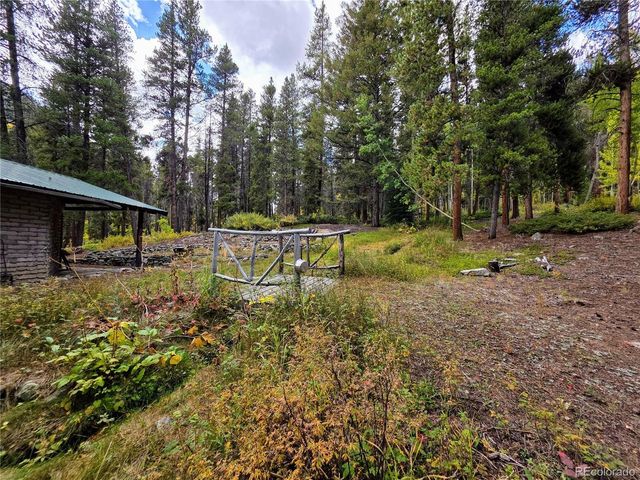 16101 Rob Roy MS MC, Nathrop, CO 81236