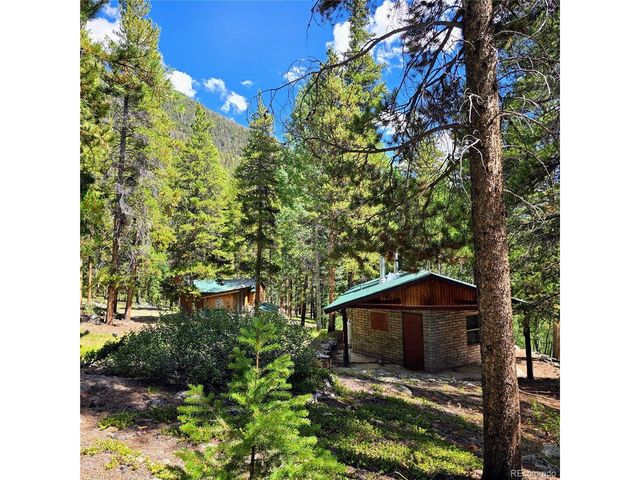 16101 Rob Roy MS MC, Nathrop, CO 81236
