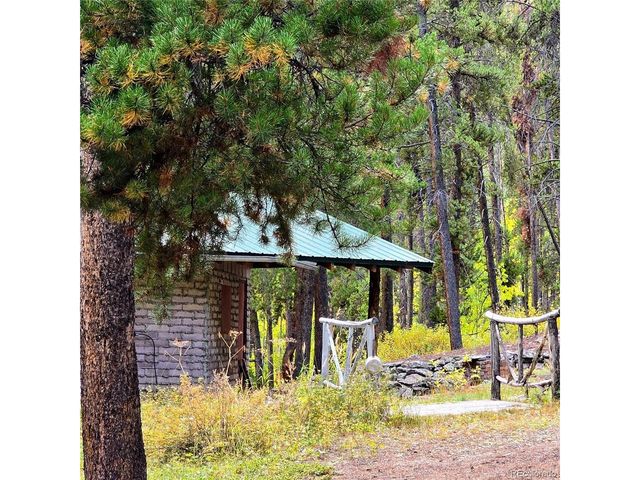16101 Rob Roy MS MC, Nathrop, CO 81236