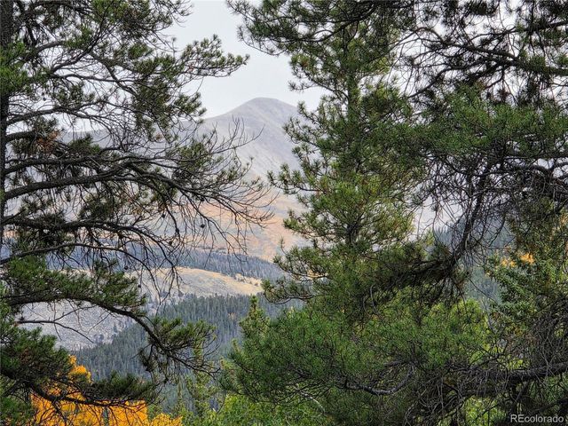 16101 Rob Roy MS MC, Nathrop, CO 81236