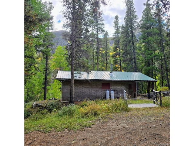 16101 Rob Roy MS MC, Nathrop, CO 81236