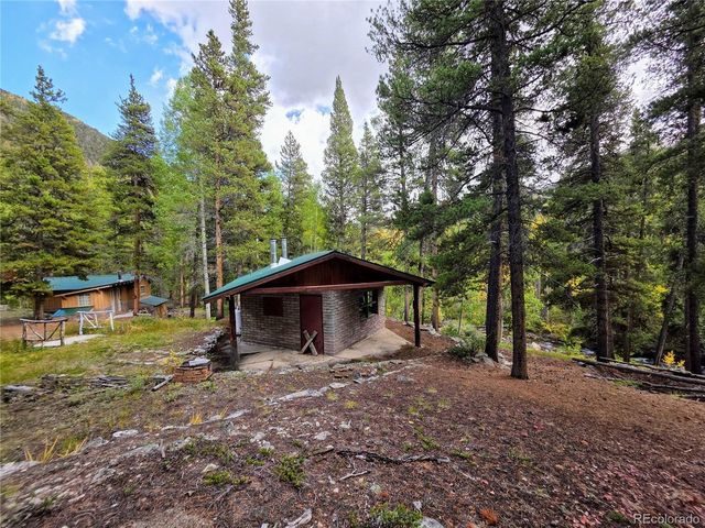 16101 Rob Roy MS MC, Nathrop, CO 81236