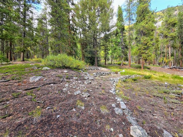 16101 Rob Roy MS MC, Nathrop, CO 81236