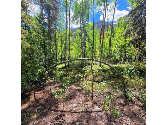 16101 Rob Roy MS MC, Nathrop, CO 81236