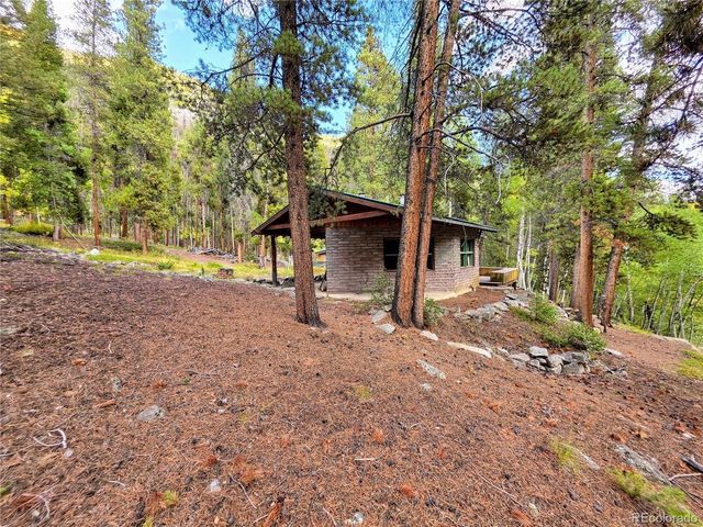 16101 Rob Roy MS MC, Nathrop, CO 81236