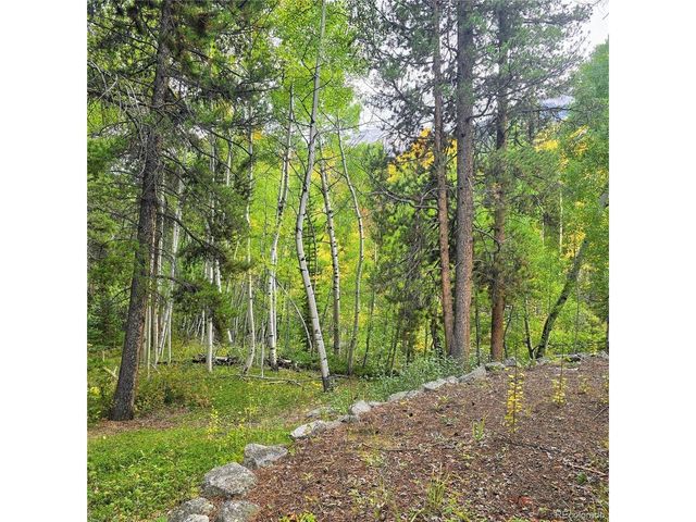 16101 Rob Roy MS MC, Nathrop, CO 81236