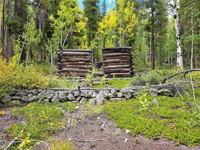 16101 Rob Roy MS MC, Nathrop, CO 81236