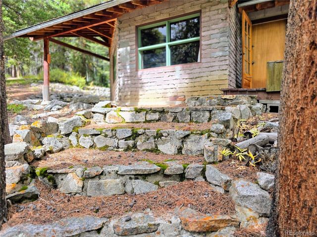 16101 Rob Roy MS MC, Nathrop, CO 81236