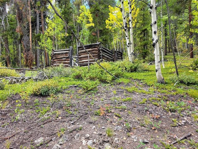 16101 Rob Roy MS MC, Nathrop, CO 81236