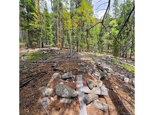 16101 Rob Roy MS MC, Nathrop, CO 81236
