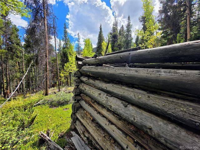 16101 Rob Roy MS MC, Nathrop, CO 81236