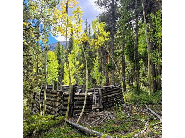 16101 Rob Roy MS MC, Nathrop, CO 81236