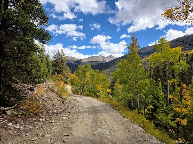 16101 Rob Roy MS MC, Nathrop, CO 81236