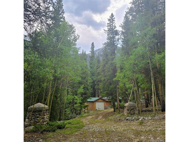 16101 Rob Roy MS MC, Nathrop, CO 81236