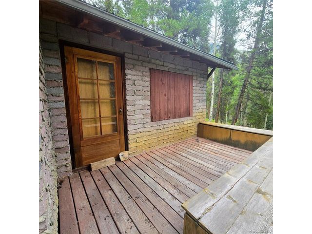 16101 Rob Roy MS MC, Nathrop, CO 81236