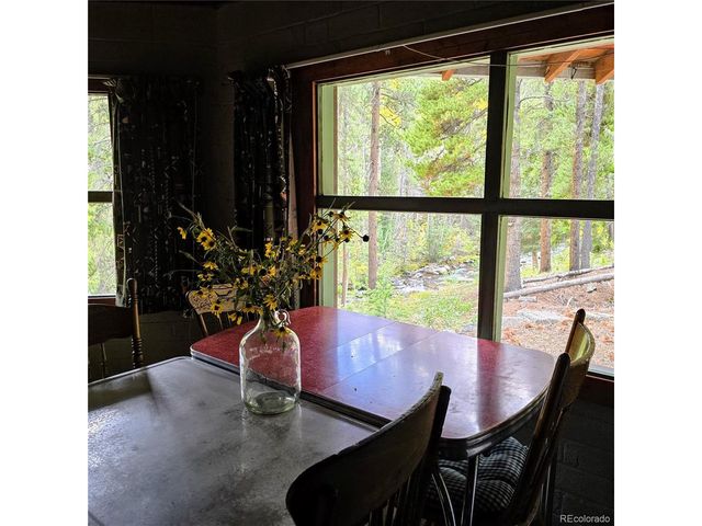 16101 Rob Roy MS MC, Nathrop, CO 81236