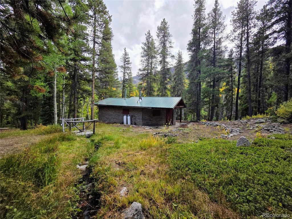 16101 Rob Roy MS MC, Nathrop, CO 81236