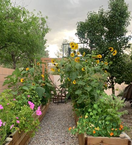 40 Hop Tree Trail, Corrales, NM 87048