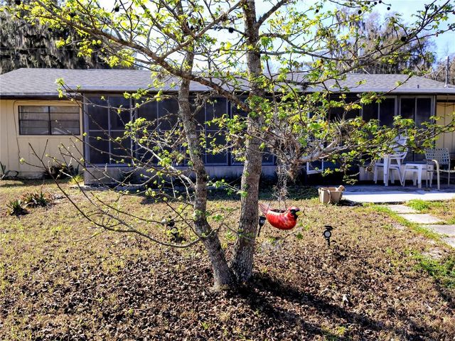 926 CR 467, Lake Panasoffkee, FL 33538