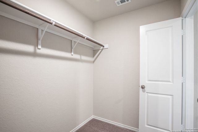 2614 PECHORA PIPIT, New Braunfels, TX 78130
