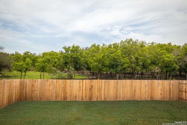 2614 PECHORA PIPIT, New Braunfels, TX 78130