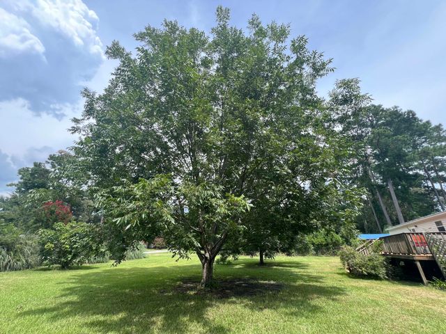 1156 Wa Gamble Road, Manning, SC 29102