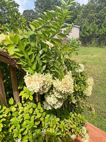 1156 Wa Gamble Road, Manning, SC 29102