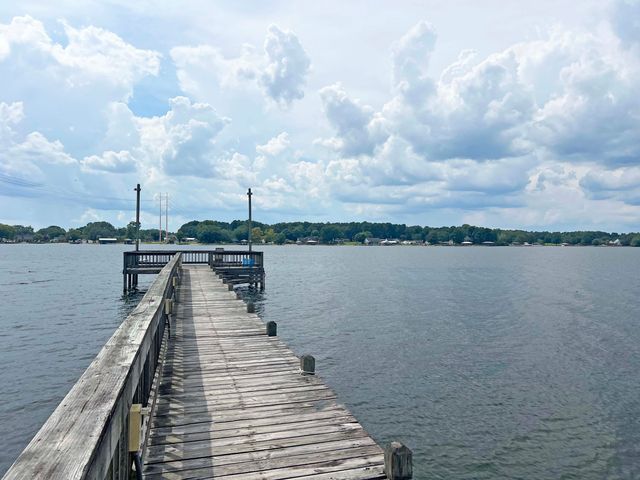 1156 Wa Gamble Road, Manning, SC 29102