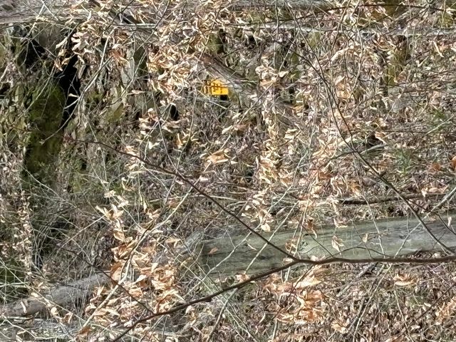 5930 KY-11, Manchester, KY 40962