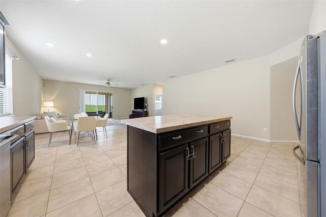 20945 OLDENBURG LOOP, Mount Dora, FL 32757