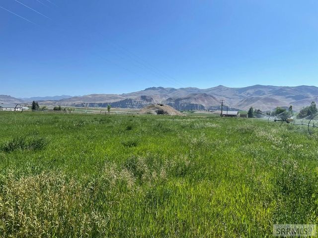 3100 Challis Creek Road, Challis, ID 83226