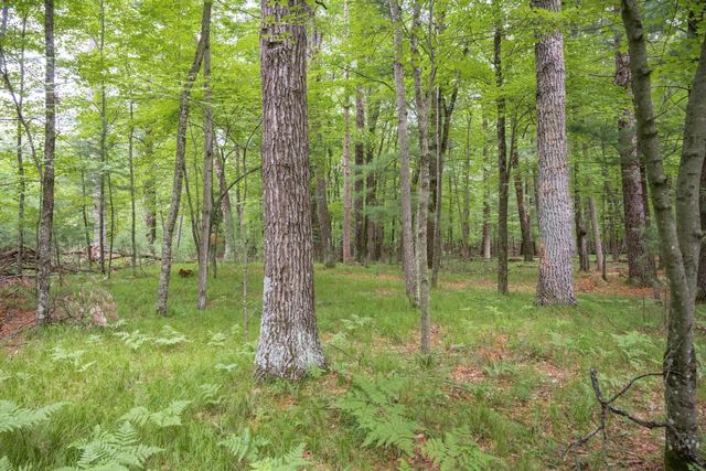 598 Badger Drive, Hancock, WI 54943