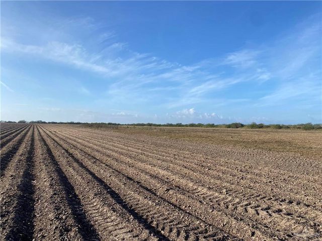 9.85 AC Coolidge Street, Hargill, TX 78549
