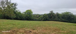 11 Beasley Rd, Chapel Hill, TN 37034