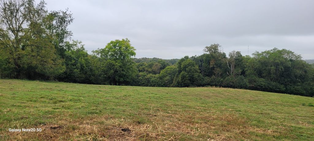 11 Beasley Rd, Chapel Hill, TN 37034