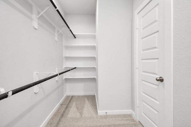 11106 Crocus Drive, Houston, TX 77044