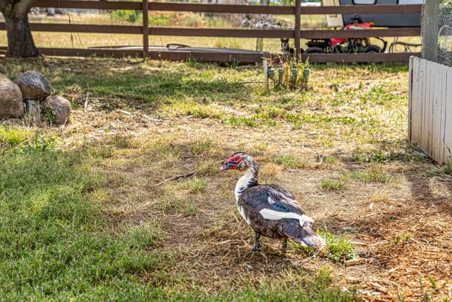 5660 William Ln, Lincoln, CA 95648