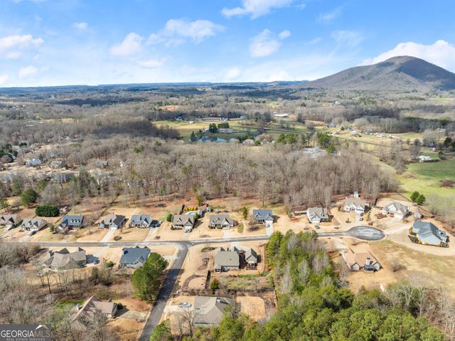 6728 Little Whistle Way, Clermont, GA 30527