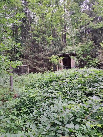 3417 M-67, Chatham, MI 49816