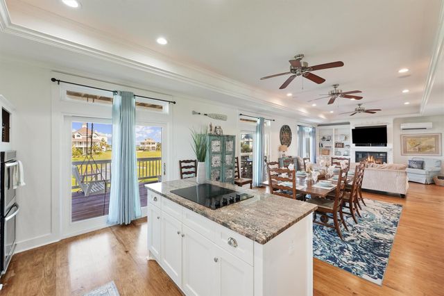 25615 Spotted Sandpiper Drive, Galveston, TX 77554